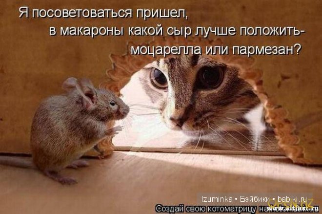 Ох уж эти зверики....Улыбнитесь
