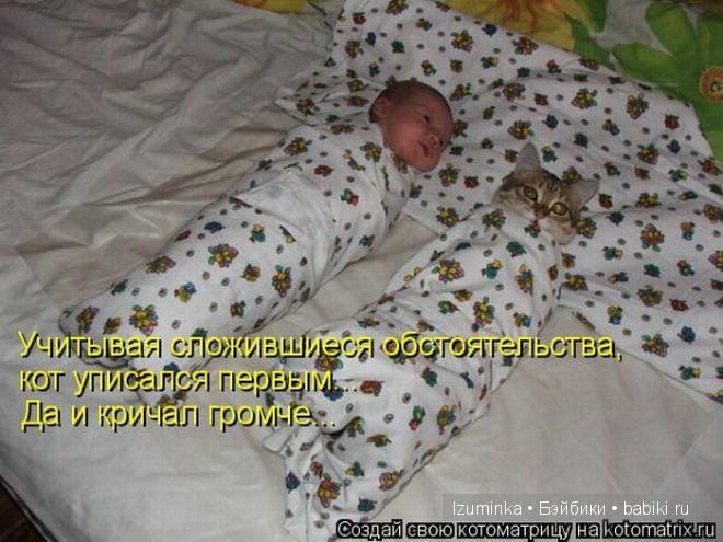 Ох уж эти зверики....Улыбнитесь