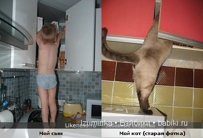 Ох уж эти зверики....Улыбнитесь (фото 9)