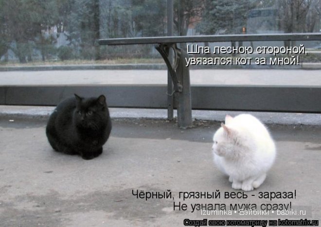 Ох уж эти зверики....Улыбнитесь
