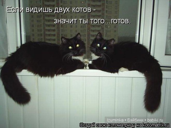 Ох уж эти зверики....Улыбнитесь (фото 6)