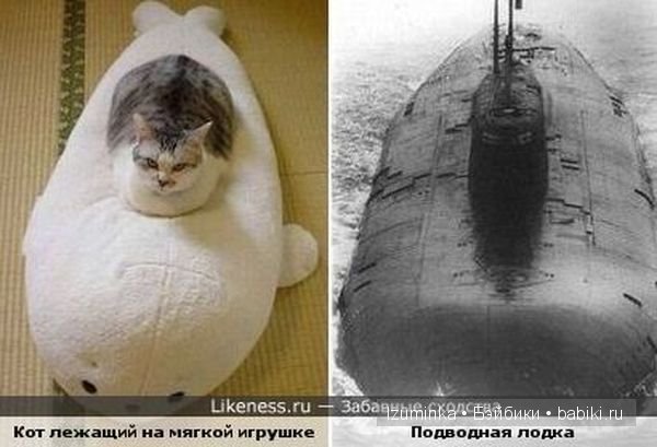 Ох уж эти зверики....Улыбнитесь (фото 10)