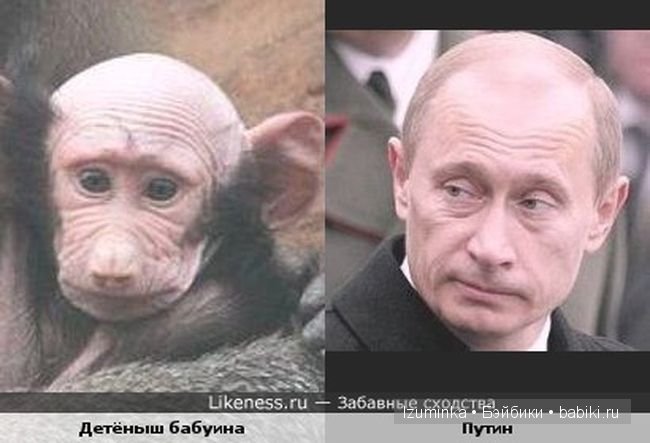 Они так похожи! Немного юмора (фото 4)