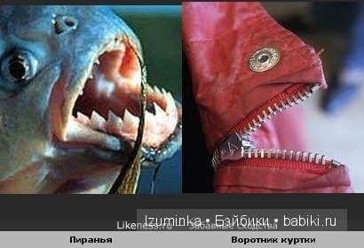 Они так похожи! Немного юмора