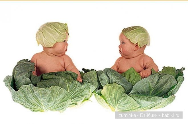 Как две капли воды — Болталка и разговоры обо всем: жизнь (фото 2)