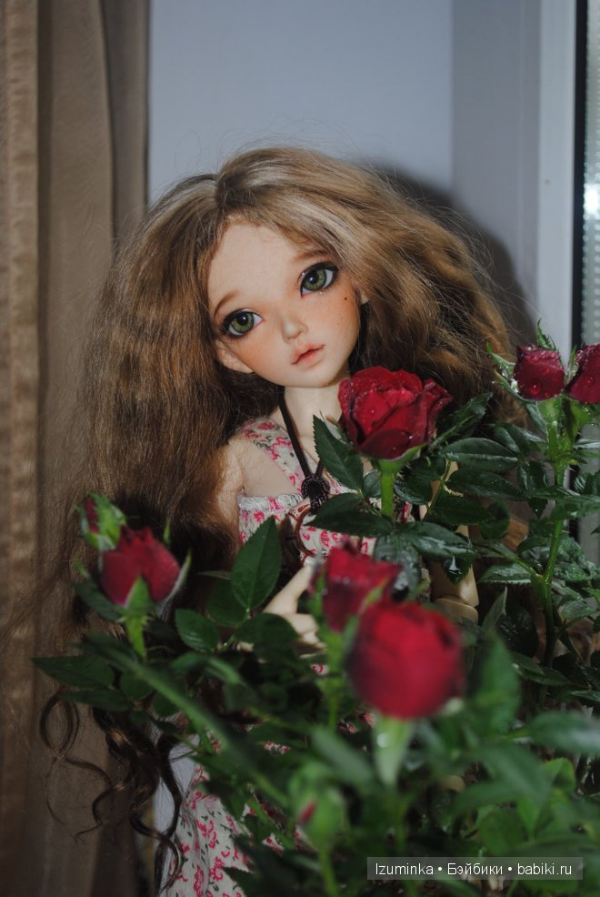 минифи Хлоя