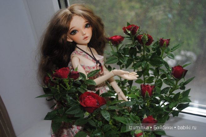 минифи Хлоя