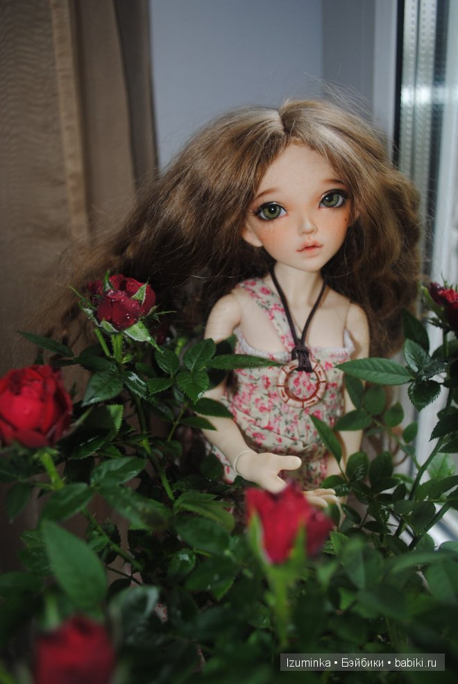 минифи Хлоя