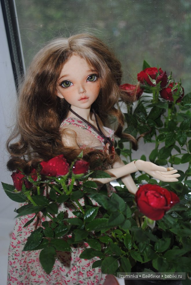 минифи Хлоя