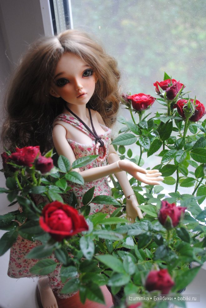 минифи Хлоя