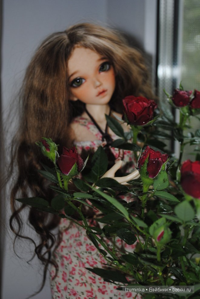 минифи Хлоя