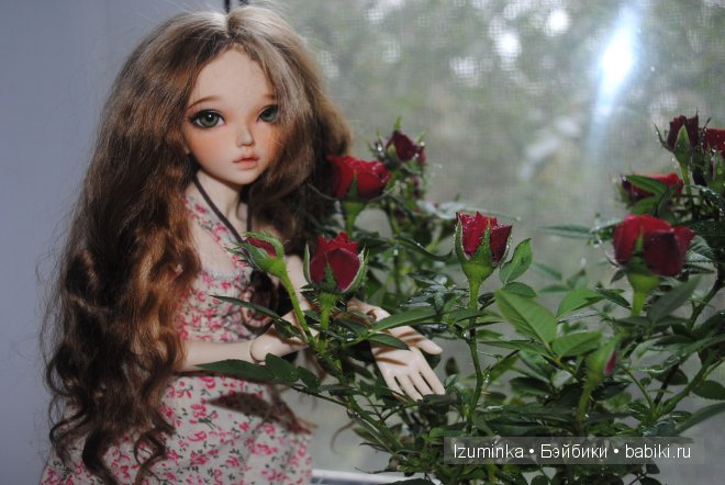 минифи Хлоя