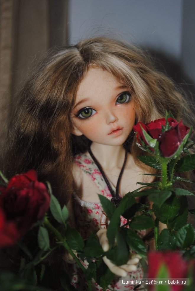 минифи Хлоя