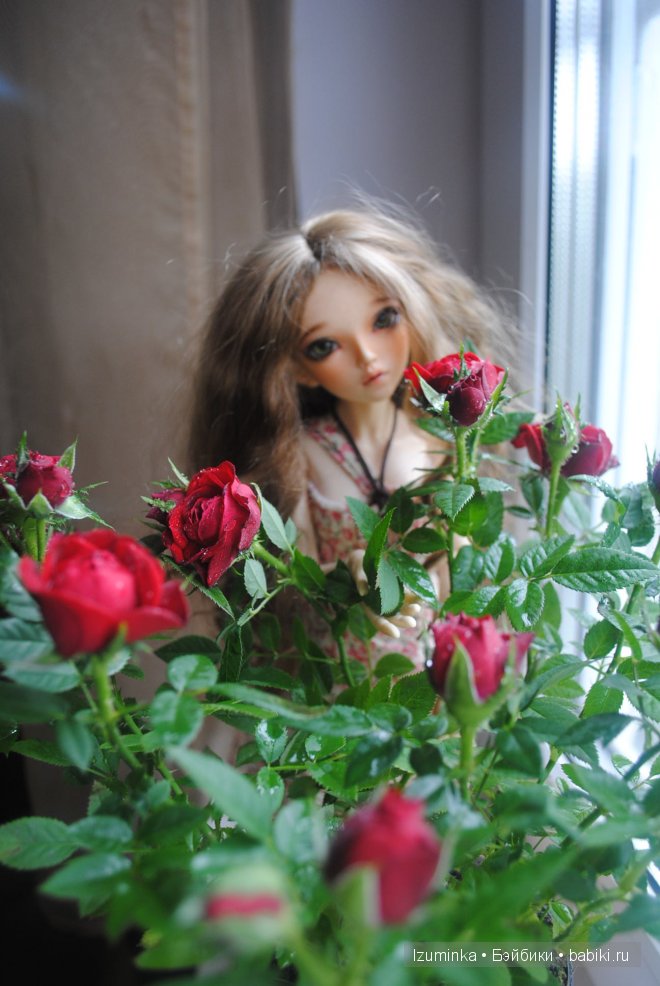 минифи Хлоя