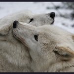 Обнимашки!