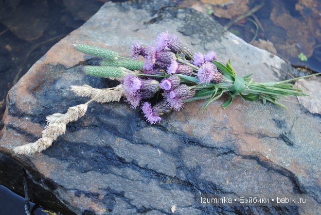 Лонни, Ипплхаус
