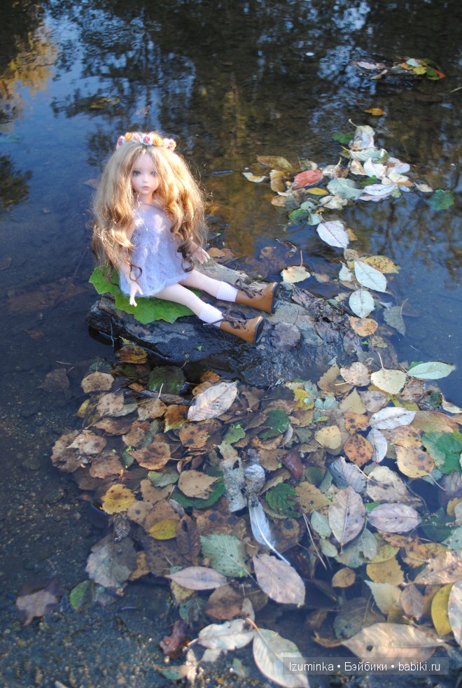 Лонни, Ипплхаус Лонни, Ипплхаус