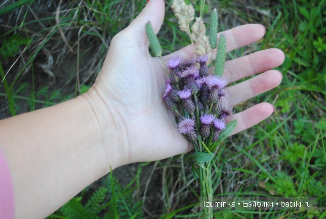 Лонни, Ипплхаус Лонни, Ипплхаус