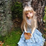 На право пойдешь - мухоморы найдешь... Или история о том, где живут эльфы