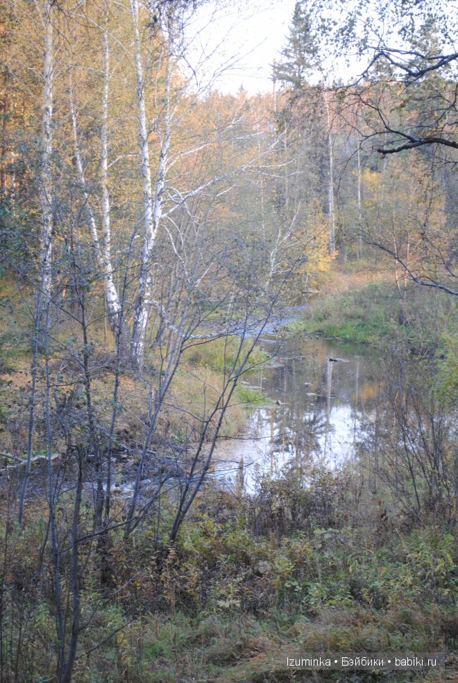 Лиза, ипплхаус.