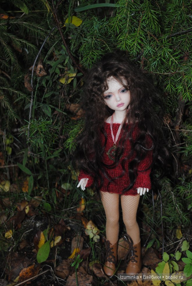 Лиза, ипплхаус