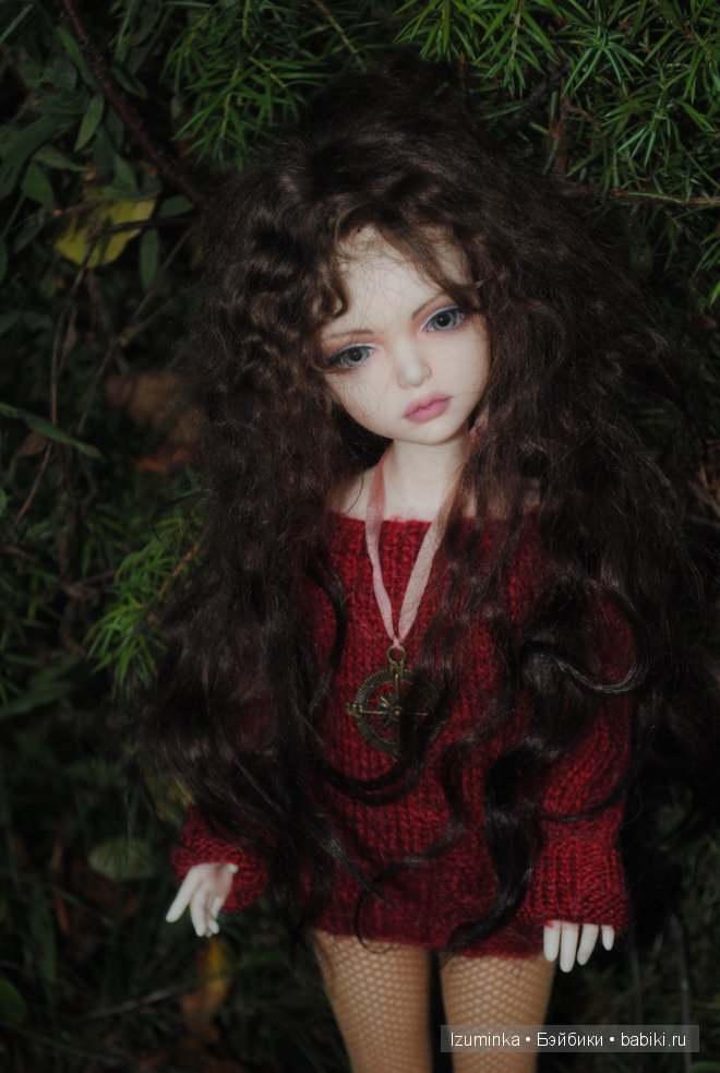 Лиза, ипплхаус