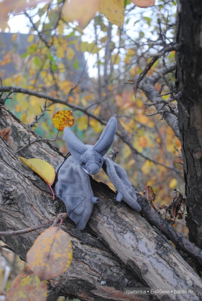 Пукифи Анте Фейриленд