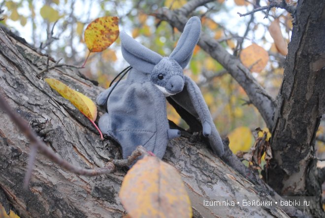 Пукифи Анте Фейриленд