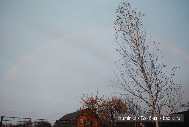 Пукифи Анте Фейриленд