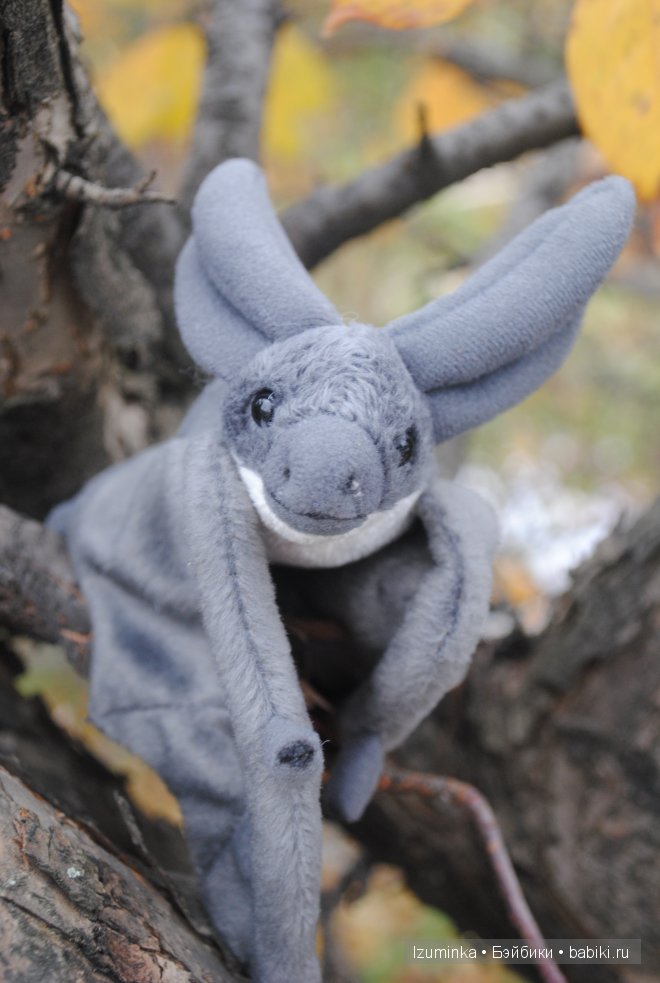 Пукифи Анте Фейриленд