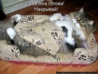 детские ролевые игры