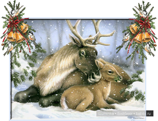 пукифи Фейриленд