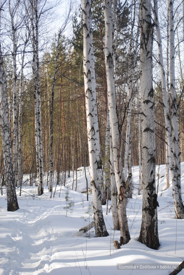 Danielle от Elisabeth Lindner 1993г