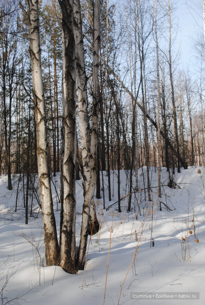 Danielle от Elisabeth Lindner 1993г