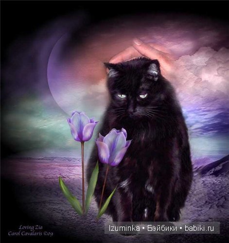 Кошки, созданные художниками Америки.