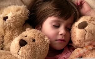 Интересное о плюшевых мишках.