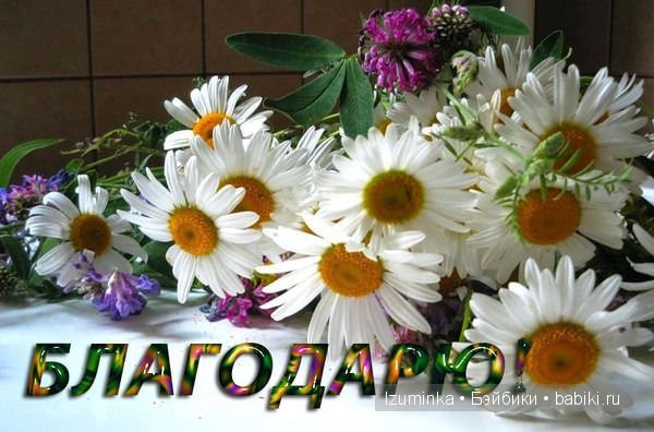 Хобби!... Как много это значит
