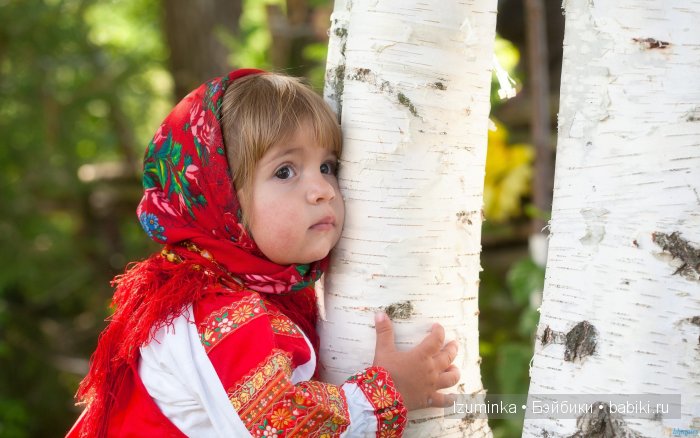Самые гигантские деревья в мире. Самые гигантские деревья в мире.