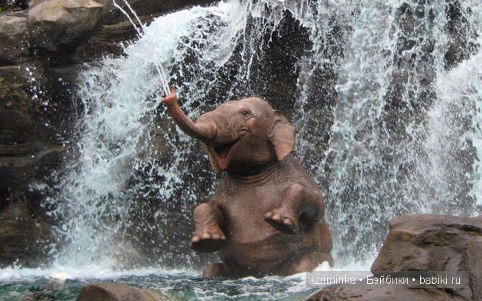 Быть счастливым. Быть счастливым.