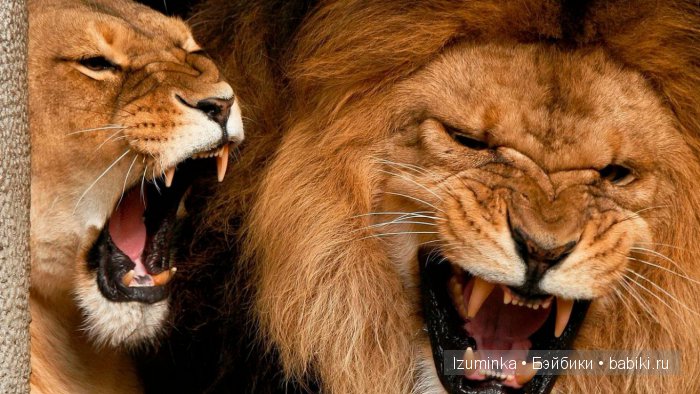 Быть счастливым. Быть счастливым.