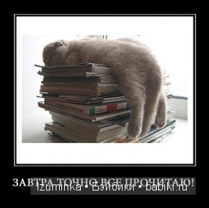 Быть счастливым. Быть счастливым.