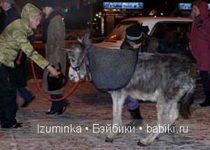 Быть счастливым. Быть счастливым.