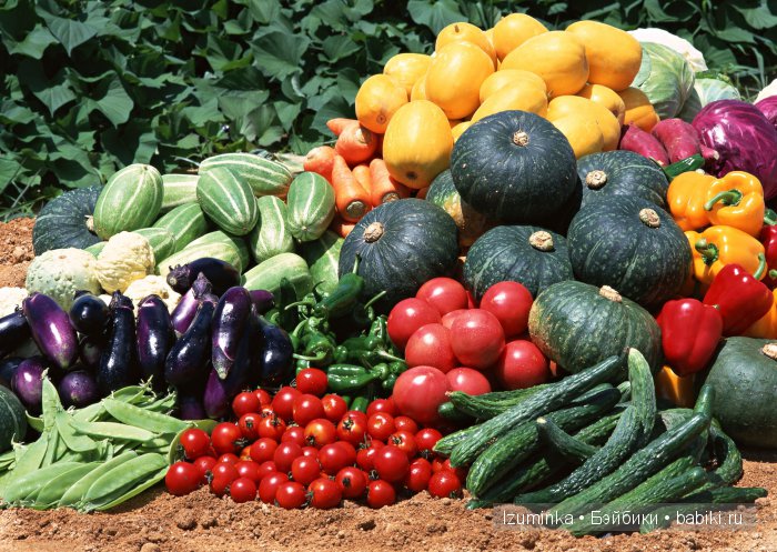Продукты в магазинах. Продукты в магазинах.