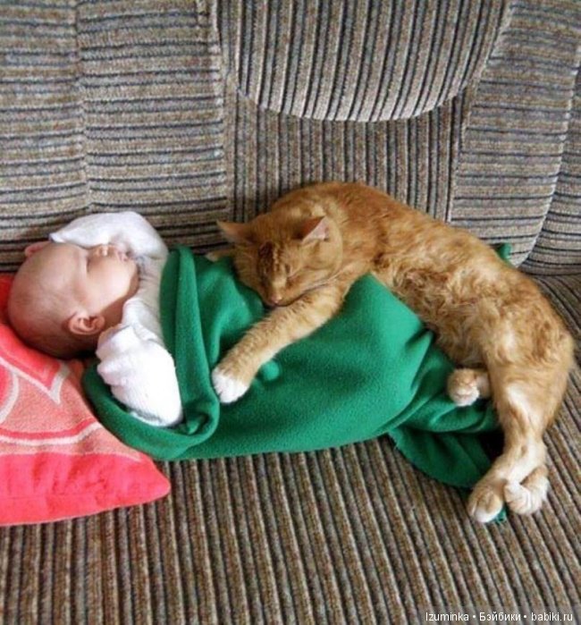 Ребенок и кошка. Ребенок и кошка.