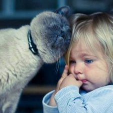 Каждому ребенку нужна кошка!