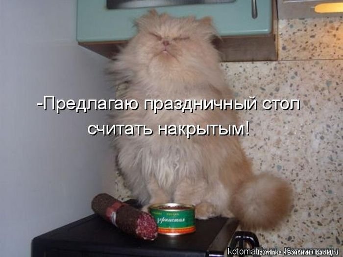 Смешные коты.
