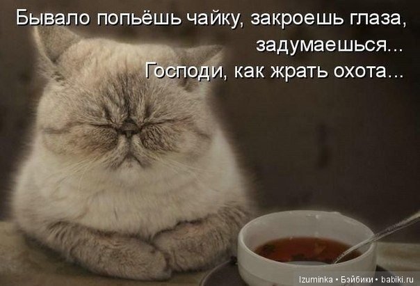 Смешные коты.
