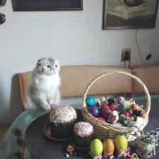 Светлой Пасхи!