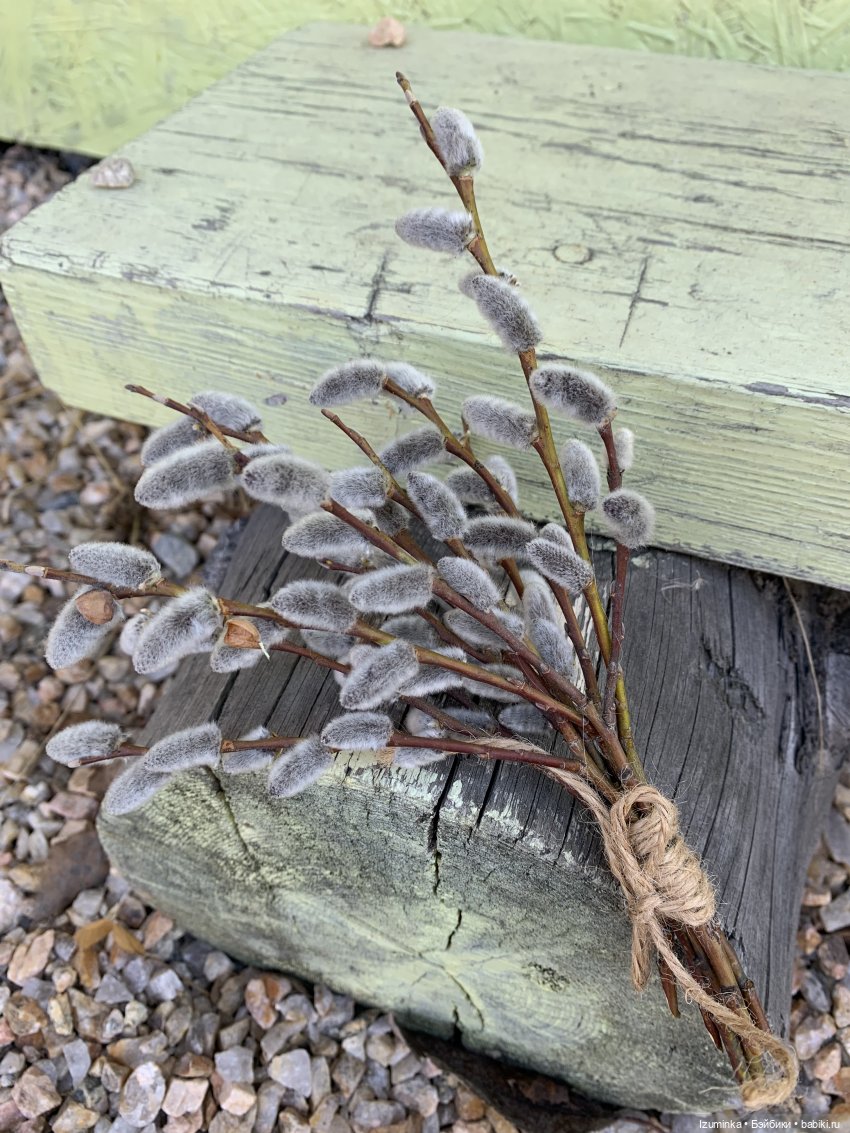 Вербное воскресение — Куклы Dianna Effner (Эффнер) из винила: Little Darling (фото 2)