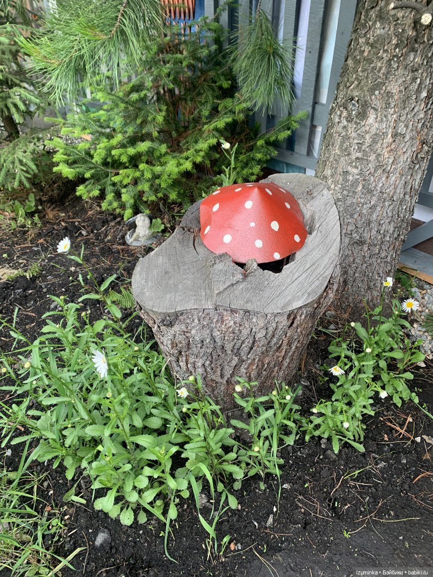 Дора - повелительница Мухоморов. Монст (Xiaomi monst) | Бэйбики Дора - повелительница Мухоморов. Монст (Xiaomi monst) (фото 3)